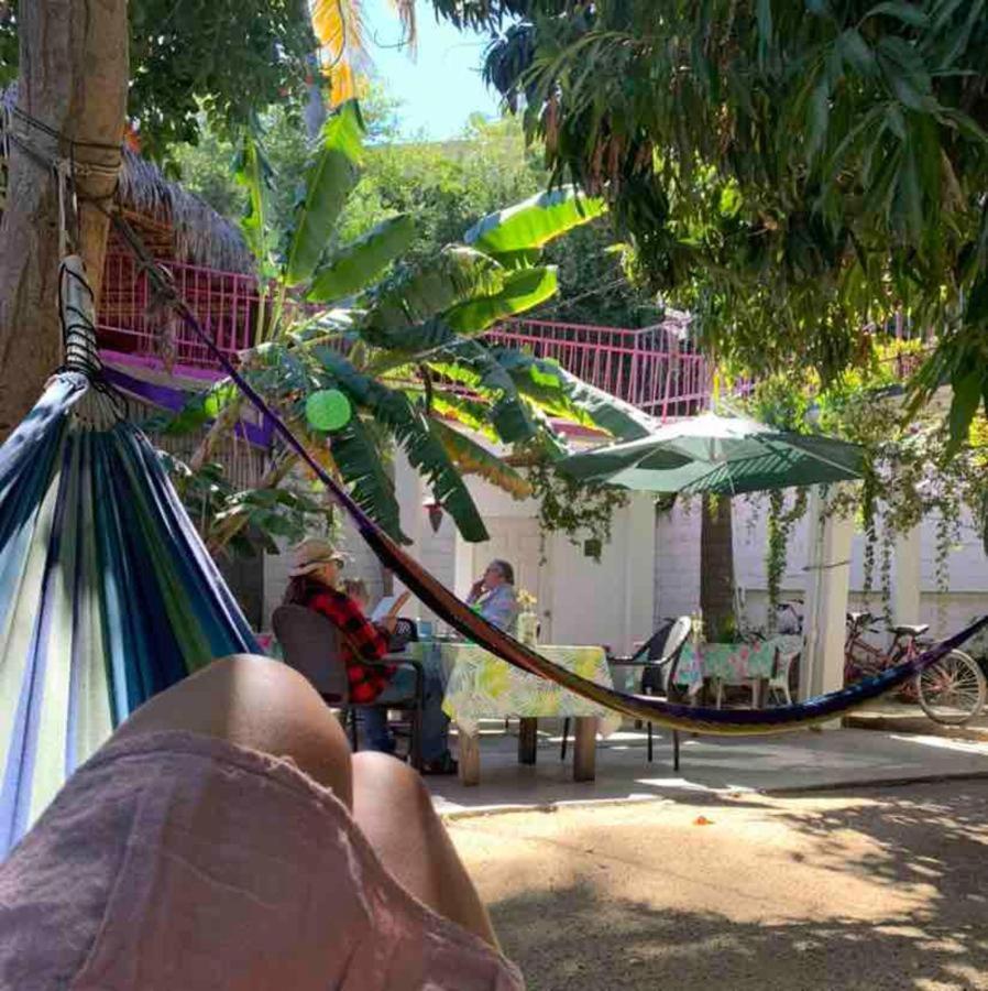 Hotel Posada Senor Manana San José del Cabo Exterior foto